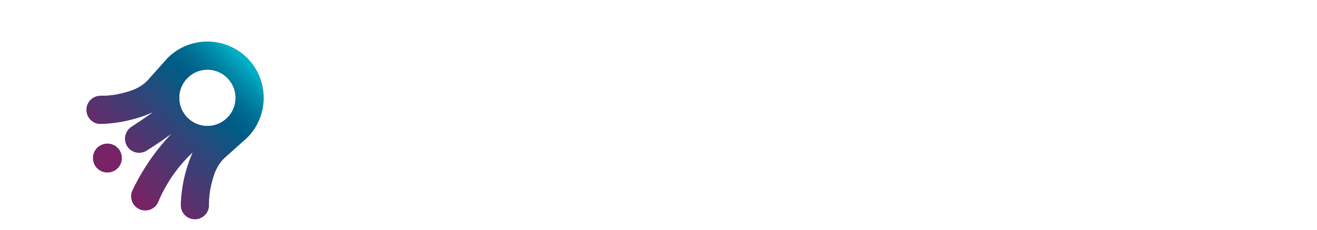 Logo Pullpo